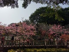 -乌山风景区