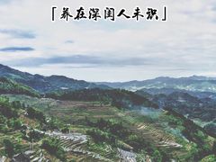 -紫鹊界梯田景区