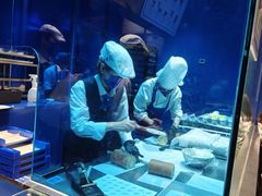 -the Roll'ING手作瑞士卷专门店(卓悦中心店)