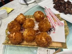 -丁老爷子苏香圆