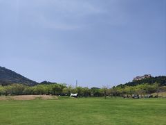 -风云岭森林公园