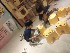 -猫咪博物馆(顶澳仔猫街店)