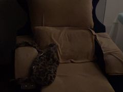 -百玺足道·按摩·SPA(航洋店)