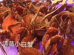 -怡咖啡自助餐(宁波香格里拉店)