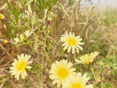 -上海市保健医疗中心