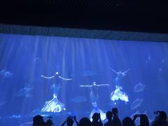 -华夏文旅海洋公园