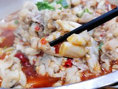 跳跳蛙火锅-专业跳跳蛙·彭彭老铺(步行街店)