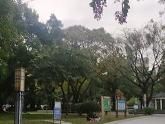 -垂虹公园