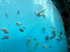 -瑞德姆美人鱼海底演艺主题餐厅(亚龙湾店)