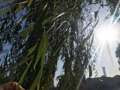 -私家美林护肤造型