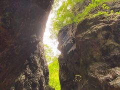 -牛背梁国家森林公园