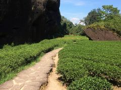 -武夷山风景名胜区-虎啸岩