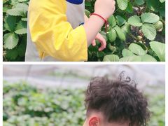 -小鱼草莓采摘园农家乐·小鱼餐厅