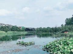 -两河城市森林公园