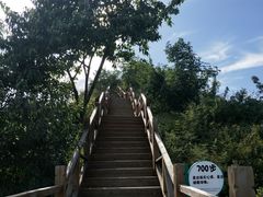 -大岭沟猕猴桃谷风景区