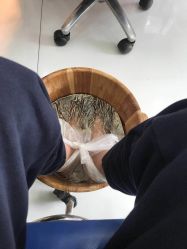 -派恩宜灰指甲·甲沟炎·鸡眼康护