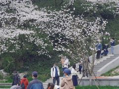 -杭州少年儿童公园