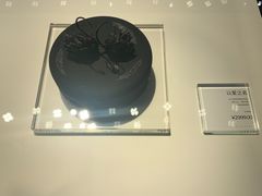 -BLACKSWAN黑天鹅(环球店)
