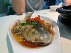 -蛇口康乐快餐鱼仔档(翠苑小区店)