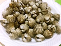 -纽顿熟食中心