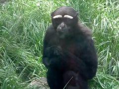 -石家庄市动物园