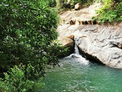 -广州白江湖森林公园