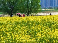 -汉江湾体育公园
