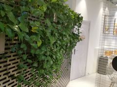 -CoCo都可(360丰产店)