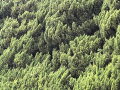 -上海市龙华烈士陵园