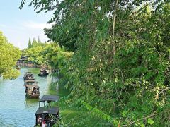 -乌镇景区