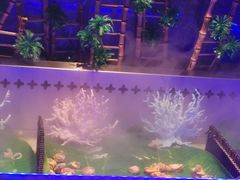 -阪尚皇·原切牛排·烤肉火锅自助(北京路店)