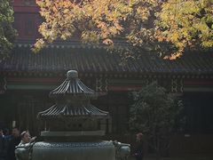 -灵谷景区