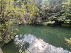 -石台牯牛降景区