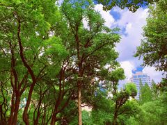 -徐家汇源景区-衡山公园