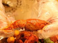 -成都明宇丽雅饭店