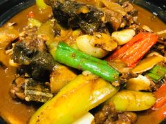 王八捞饭-湘里乡亲甲王二老店