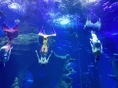 -多彩贵州城极地海洋世界