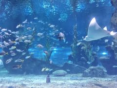-南昌海洋公园