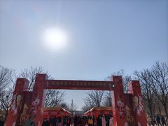 -北京凤凰岭