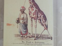 -北京动物园-畅观楼