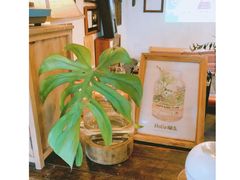 -懒鱼时光馆(沙坪坝店)