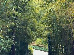 -竹子庵公园