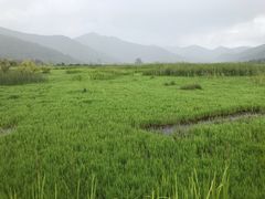 -泸沽湖国家级风景名胜区走婚桥