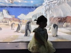 -海合安武汉极地海洋公园