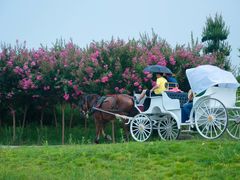 -武汉紫薇都市田园