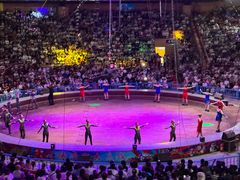 -俄罗斯国家大马戏团