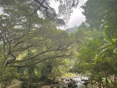 -广州市石门国家森林公园