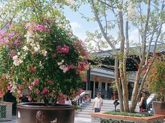 -中山市绿华园食府