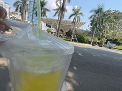 -Bánh Mì Huynh Hoa