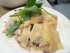 -泰煌鸡·上海白斩鸡·鸡汤面(鹤庆店)
